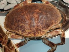 -行运海鲜食集(北京首店)