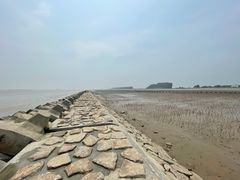 -南汇嘴观海公园