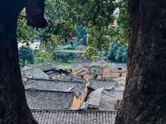 -杨家堂村