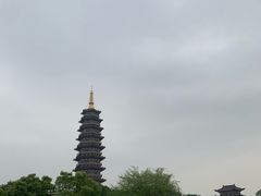 -浦江麦饼