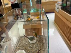 -帕帕拉兹宠物(亚洲旗舰店)