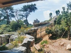 -宁波野生动物园