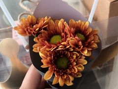 -小苍兰风铃草·礼物蛋糕(沈阳店)