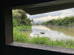 -福田红树林生态公园