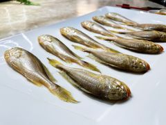 -潮汕味道·煮海餐厅(金麟大厦店)