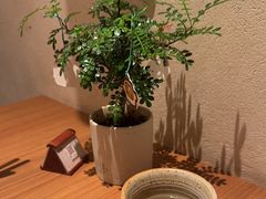 -CURRY YA 熟成咖哩專門店(深圳湾万象城店)
