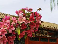 -元大都城垣遗址公园