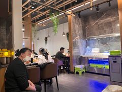 -红辣椒陶氏丝娃娃(南国花锦店)