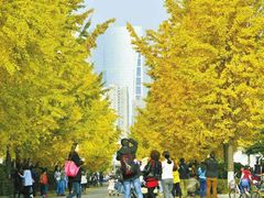 -四川大学(望江校区)