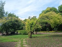 -黑龙江省森林植物园