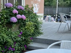 -Beans Solo豆号咖啡(百家湖花园店)