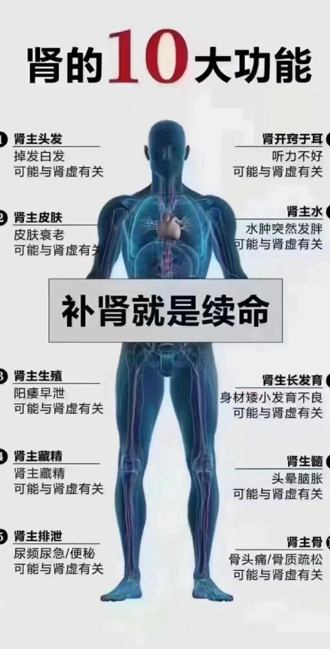 肾为先天之本,而肾主藏精,肾中精气乃生命之源