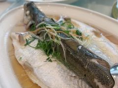 -老洋房花园饭店(绍兴路店)