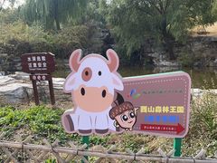 -北京西山国家森林公园