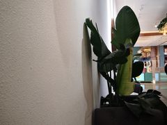 -树夏(金楠天街店)