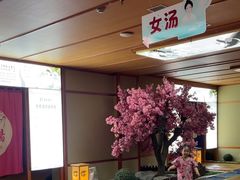 -汤泉良子(马连道店)