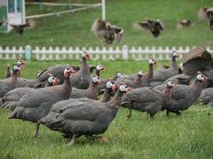 -哈尔滨北方森林动物园