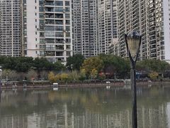 -苏州河梦清园环保主题公园