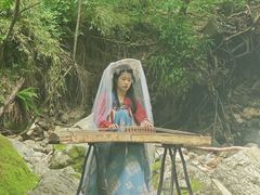 -牛背梁国家森林公园