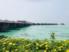 -卡帕莱度假村(西巴丹岛)