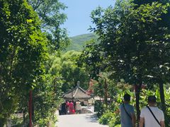-双新垂钓园