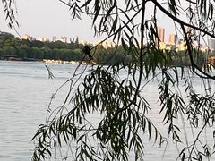 -济南大明湖景区