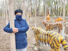 -西青郊野公园