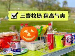-三寰牧场