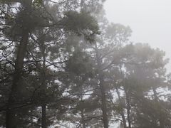 -敬亭山风景名胜区