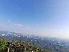 -紫金山山顶公园