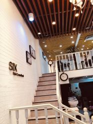 -SIX Hair Consultant