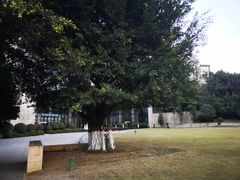 -成都保利公园皇冠假日酒店(熊猫基地店)