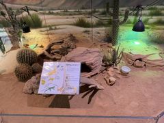 -正佳雨林生态植物园