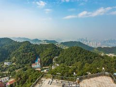 -大金鹰园