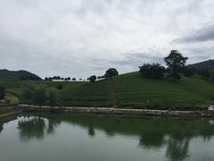 -帐篷客·溪龙茶谷度假酒店