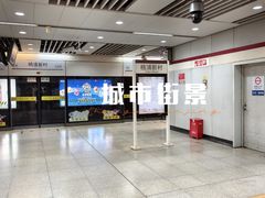-桃浦新村(地铁站)