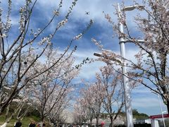 -幕燕滨江·燕子矶公园