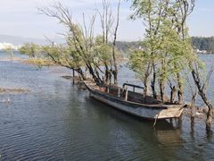 -洱海月湿地公园