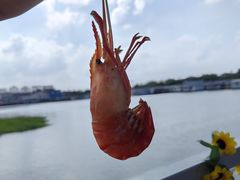 -七的湖·江南蟹舫·阳澄湖农家菜(蟹舫苑店)