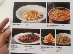 -大鸭梨烤鸭(左家庄店)