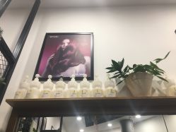 -YESIDO椰岛造型