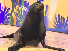 -太平洋海底世界