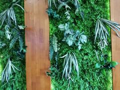 -锡笼记·无锡小笼(水岸店)