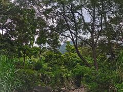 -福清灵石山国家森林公园