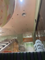 -奈尔宝家庭中心·亲子餐厅(华采天地店)