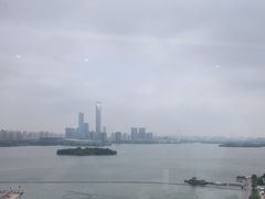 -洄归山也·高空C位湖景下午茶(东方之门店)