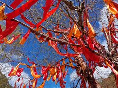 -叠溪松坪沟景区