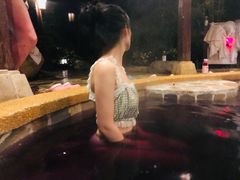 -天目湖涵田半山温泉