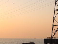 -宝安西湾红树林湿地公园