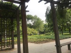 -望湖公园